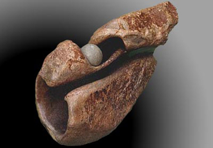 the color of my country