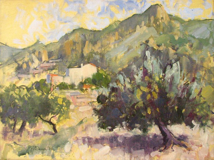 berglandschap met olijfbomen