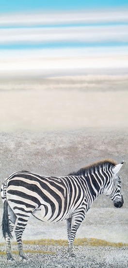 Dusty Zebra