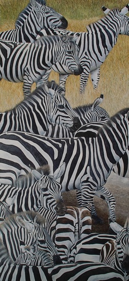 Zebra crossing II