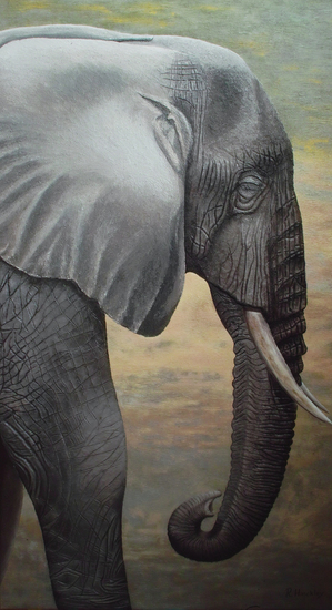 Elephant III