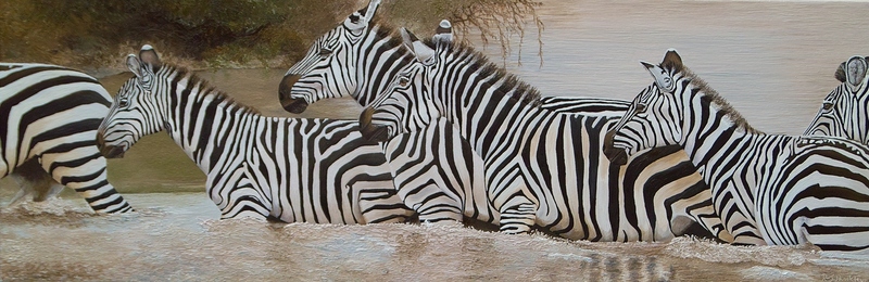 Russell_Hinckley_Zebra_crossing