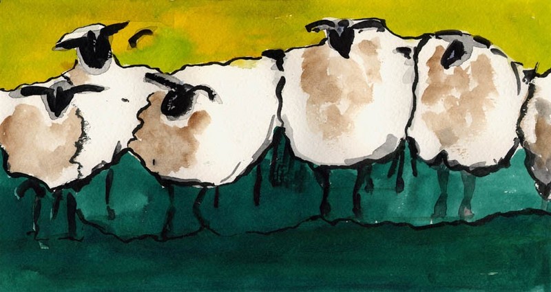 Rijtje schapen