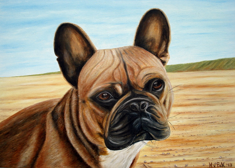 Bailey (Franse bulldog)