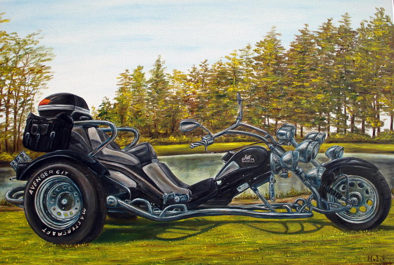 Boom trike vw 1600 injectie (Bert Steegs)