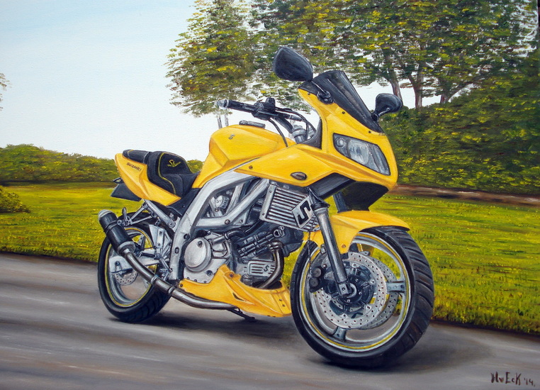 Suzuki SV 650 ( 2005)