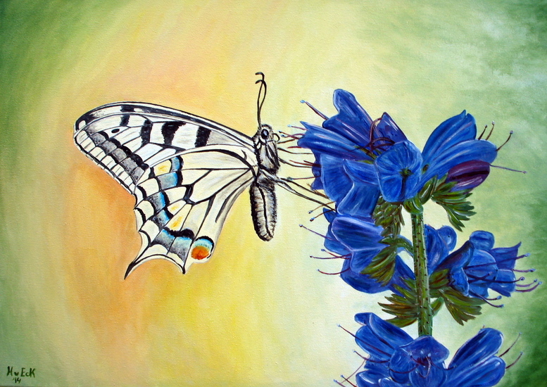 Koninginnenpage op blauwe bloem