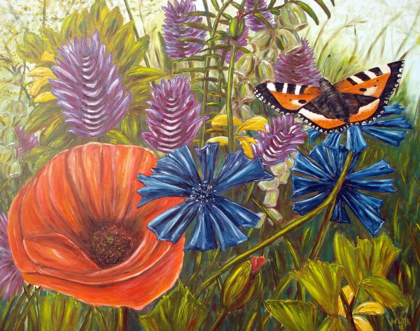 klaproos,korenbloem en vlinder