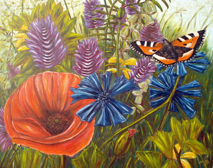 Klaproos,korenbloem en vlinder