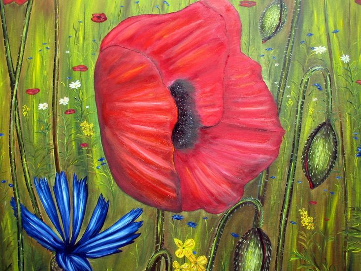 klaproos en korenbloem