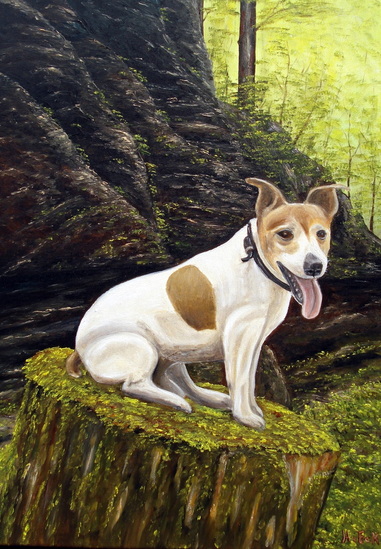 Jack russel (Tommie)