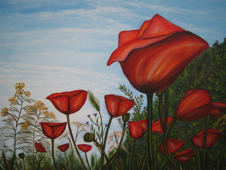 Bermbloemen 2 (klaprozen)