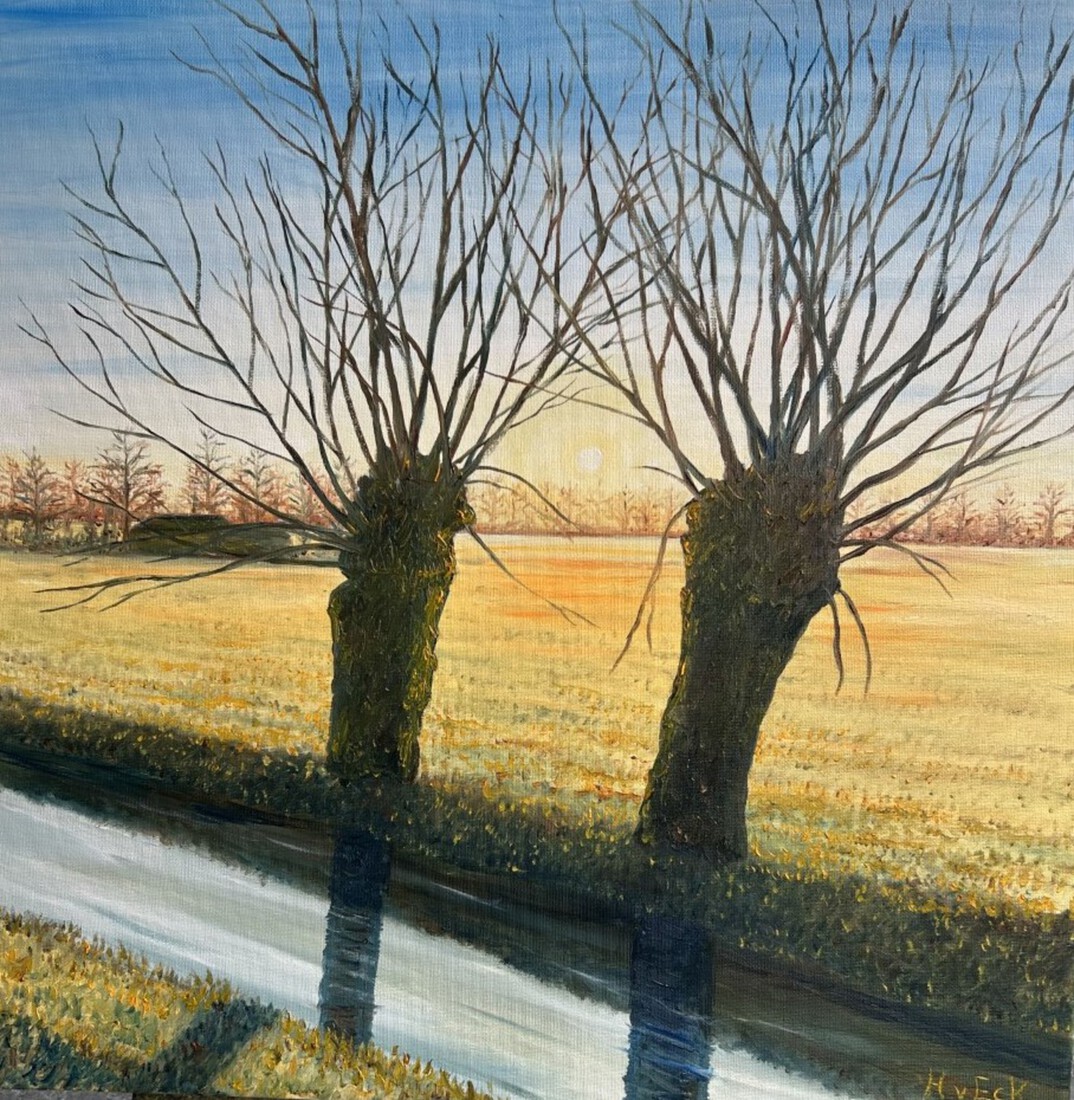 Zicht over de Paashoef Gemert 