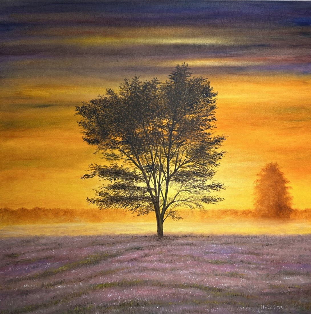 Boom op de Stippelberg