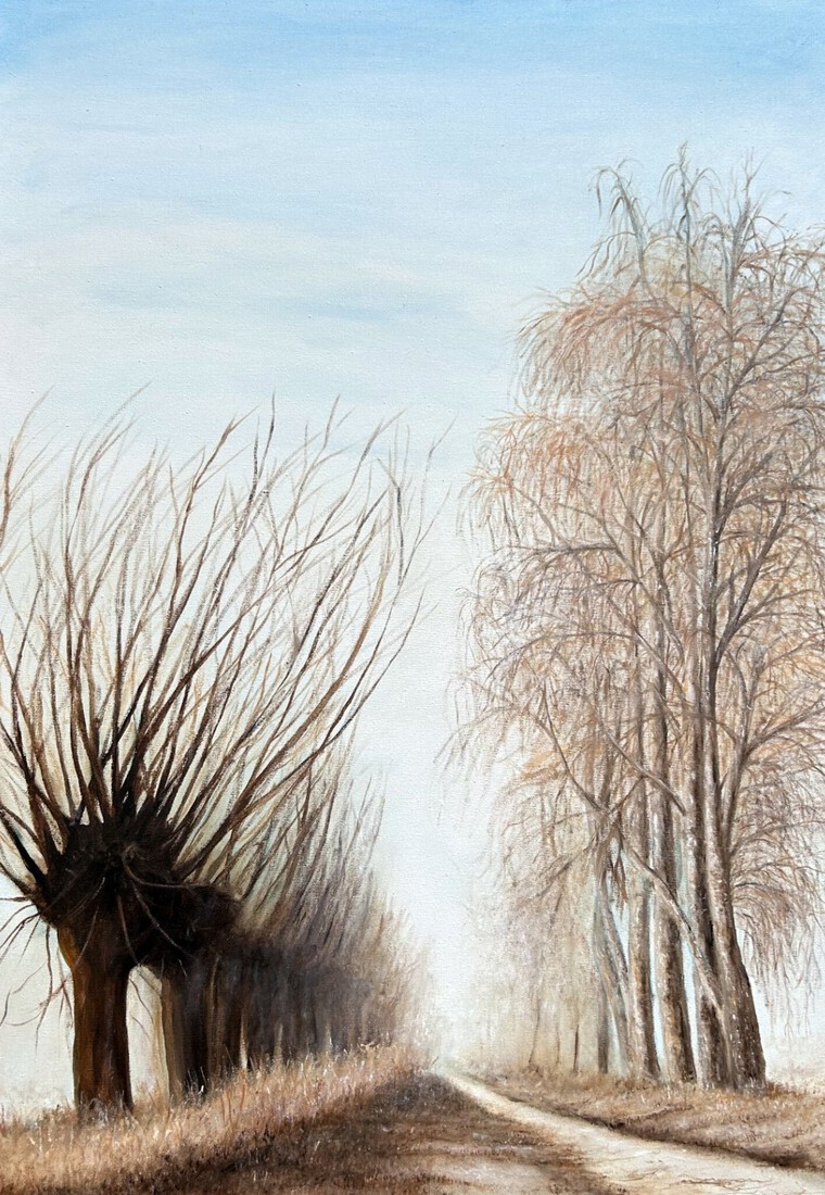 Winterlandschap bij Hulst Gemert