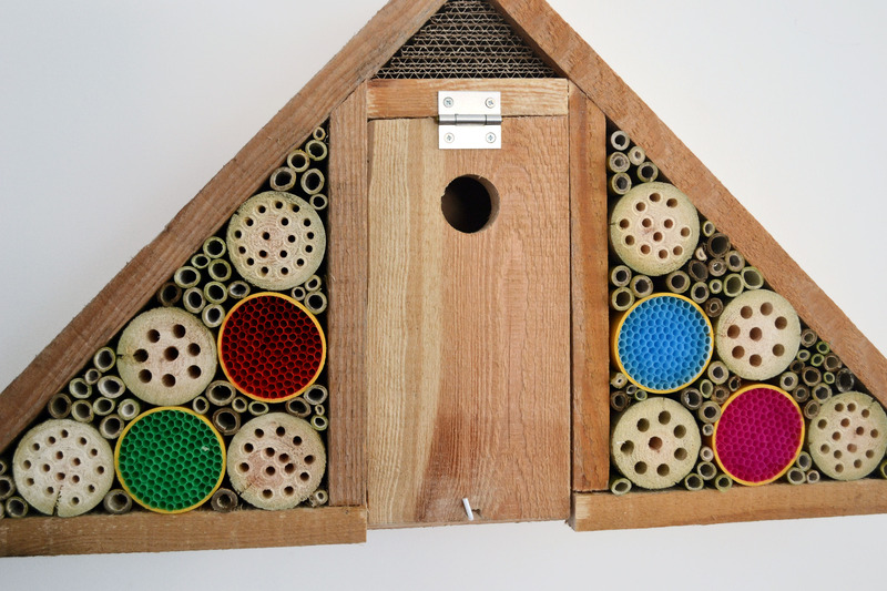 Vogel en insecten nestkast