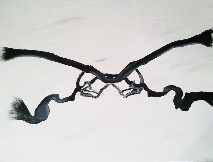 This is not an insect