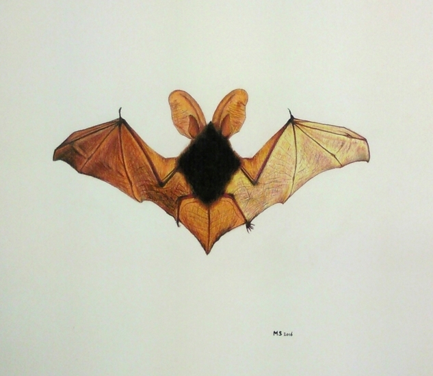BAT