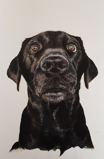 Labra