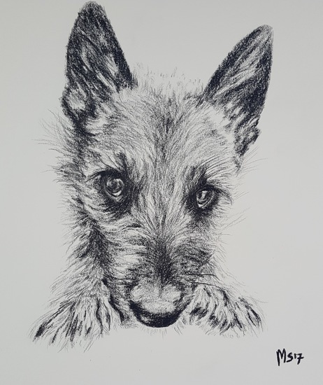 Dog with head on legs