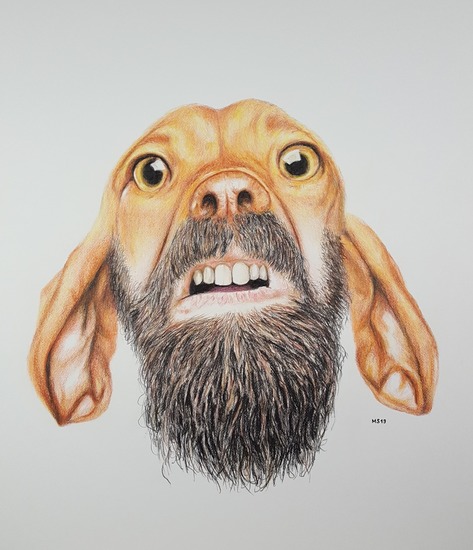 Dog with beard