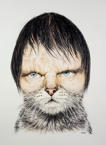 Humans and animals are the same