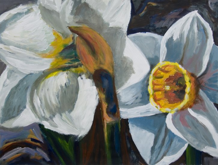 Narcissen (2)