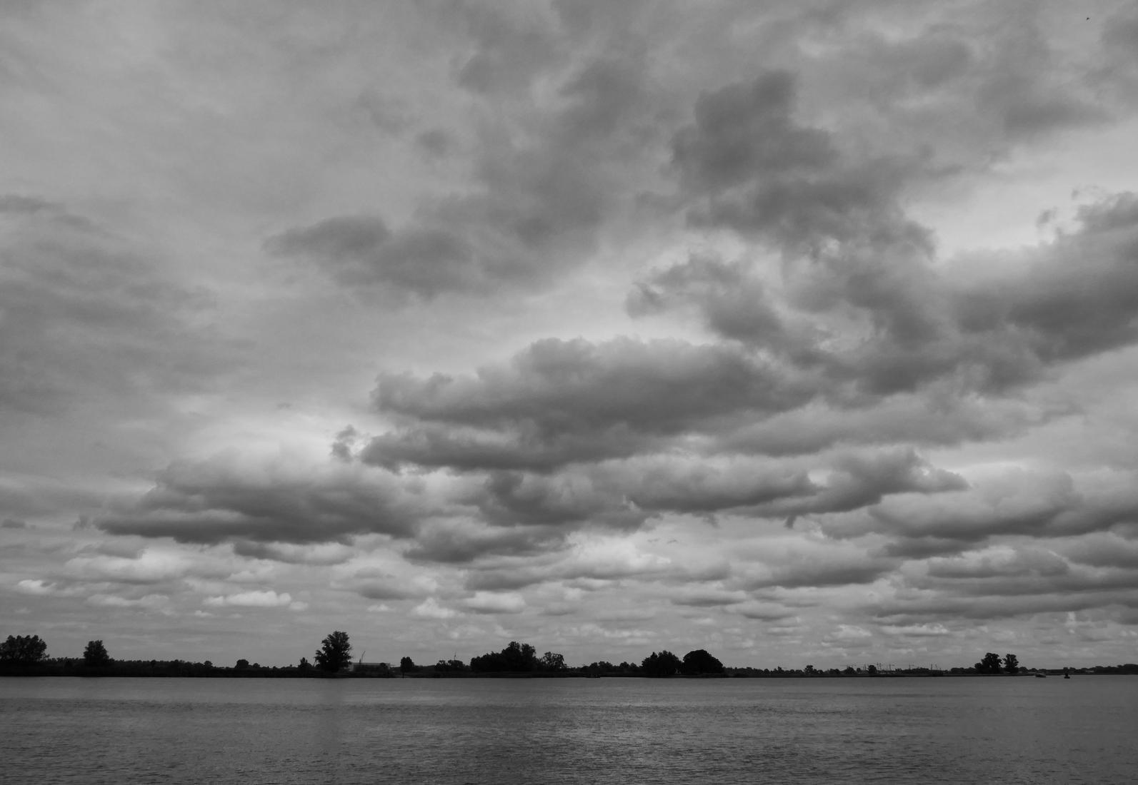 Biesbosch