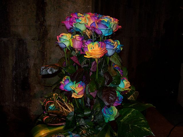 Šarene ružice, Sajam cvijeća, Dioklecijanovi podrumi