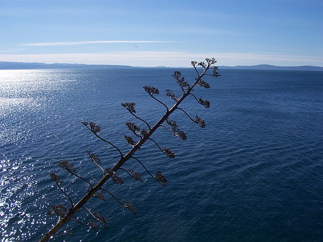 Sustipanska sličica