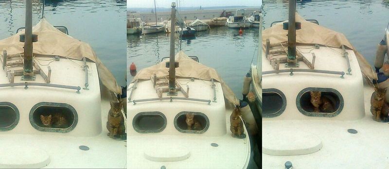 Mali pozeri s Matejuške