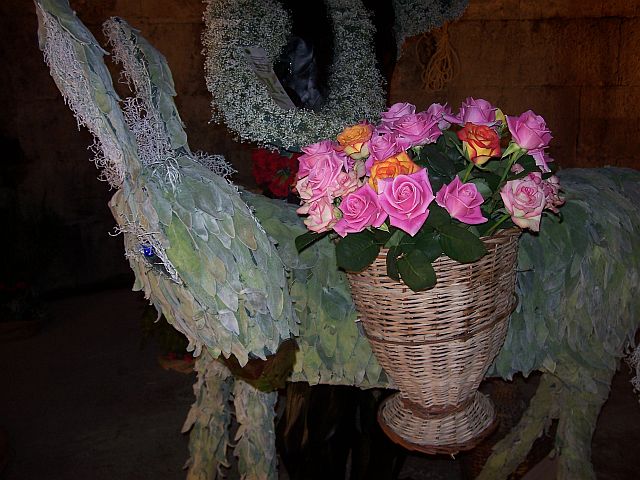 Tovar, Praznik cvijeća, Dioklecijanovi podrumi