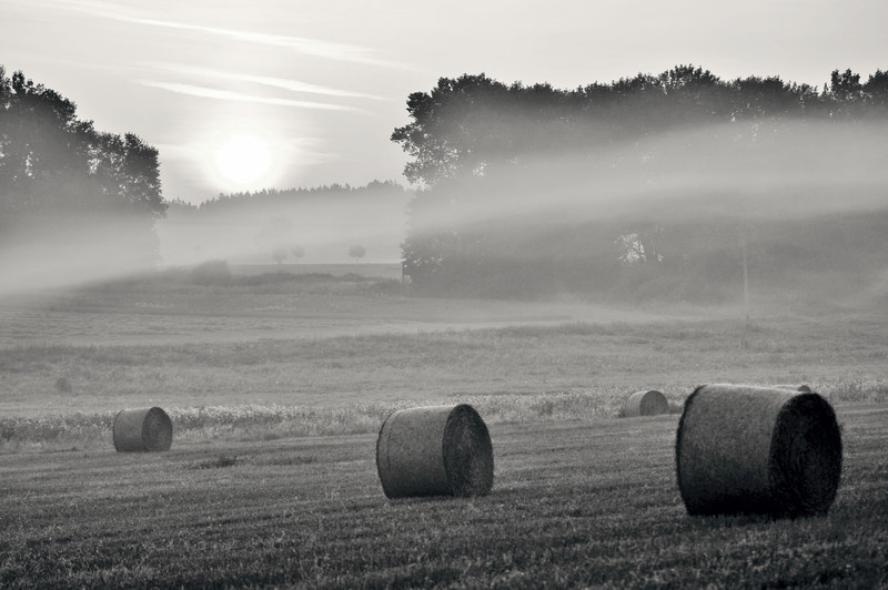 Licht in de ochtend