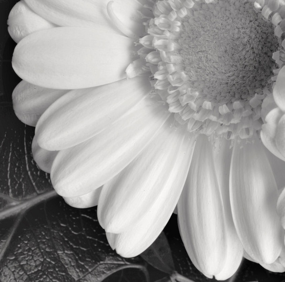 Macro Micro