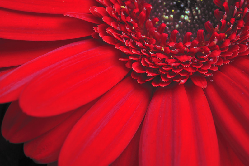 Macro Micro