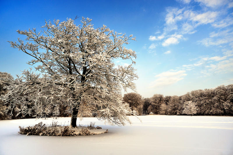 Sneeuw