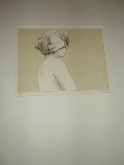 Litho Wittevrongel