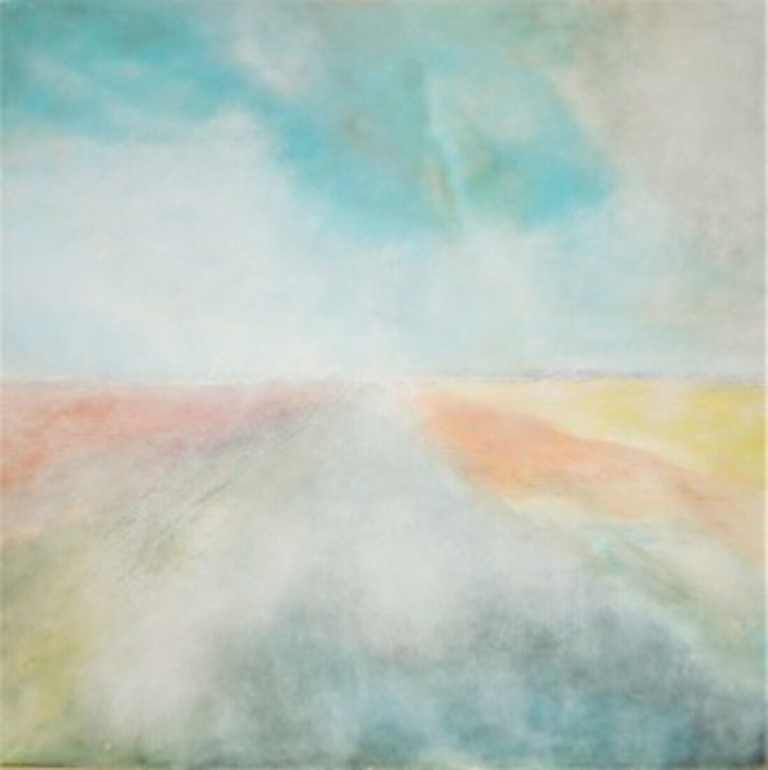 Bloembollen veld