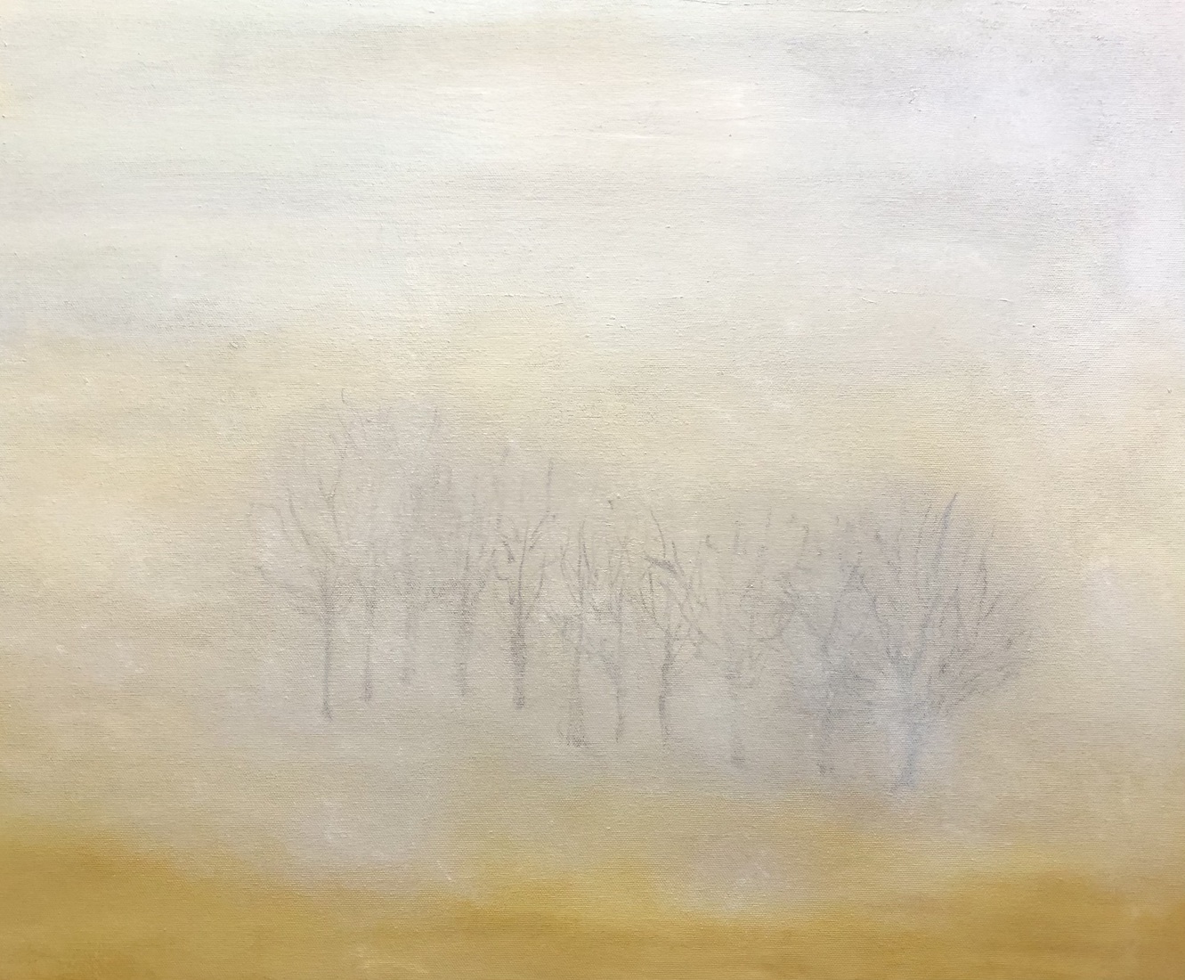 Bomen in de mist   