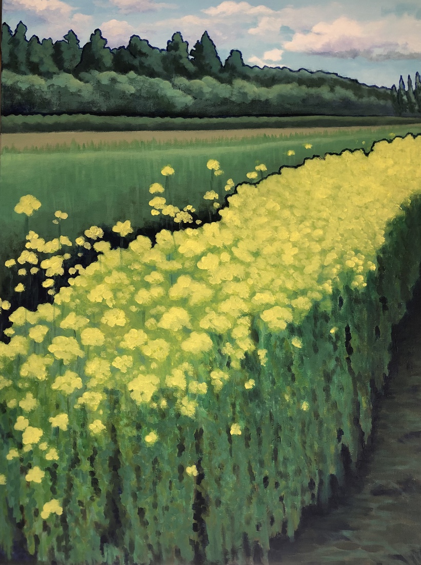 Koolzaad langs de Kniplaan