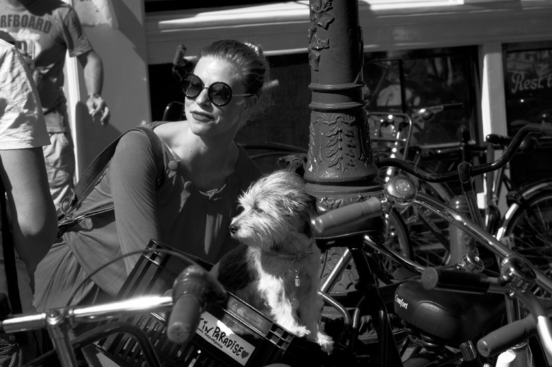 Gay Pride Amsterdam 4 (In Paradise)