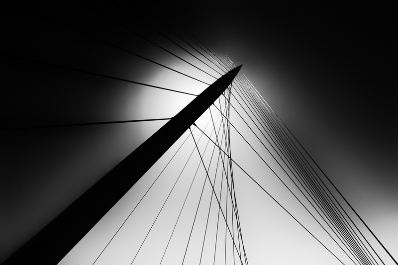Calatrava´s Web 2