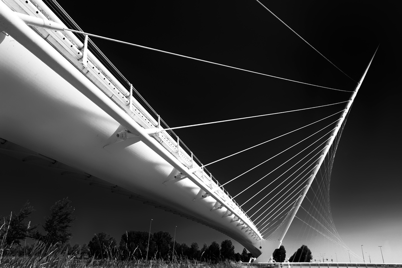 Calatrava´s Web 5