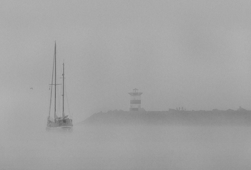 Harbour Fog 2
