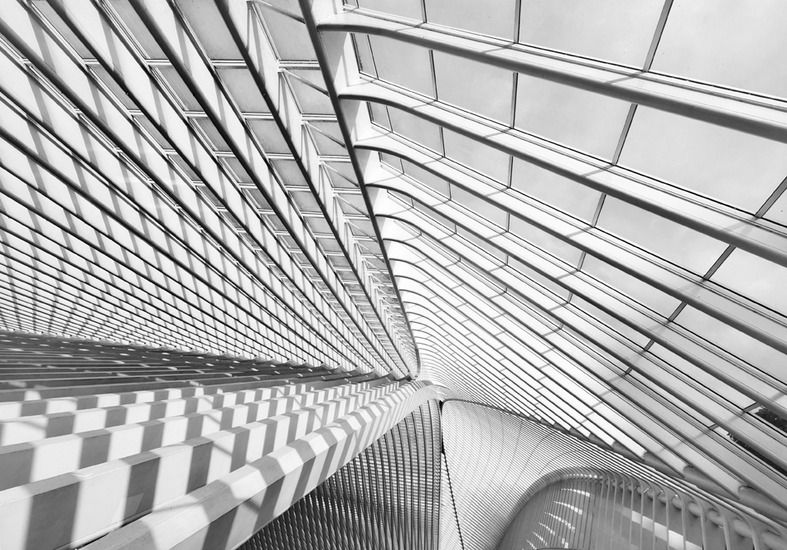 Calatrava Station Luik 12