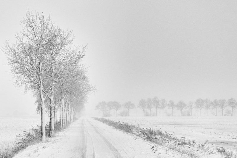 Dutch Winter III
