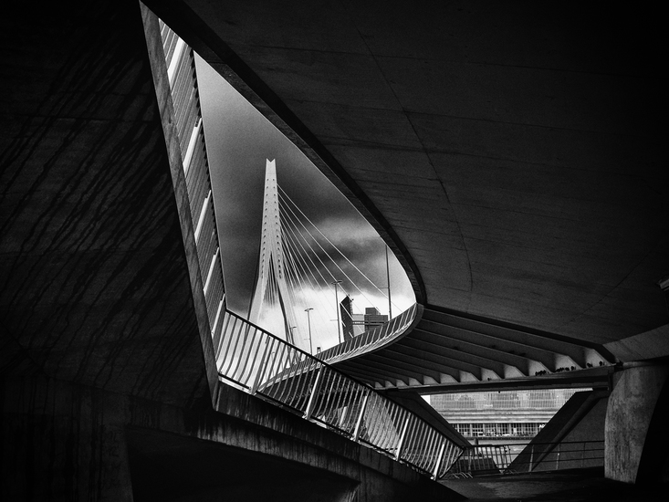 Erasmus Bridge different view III