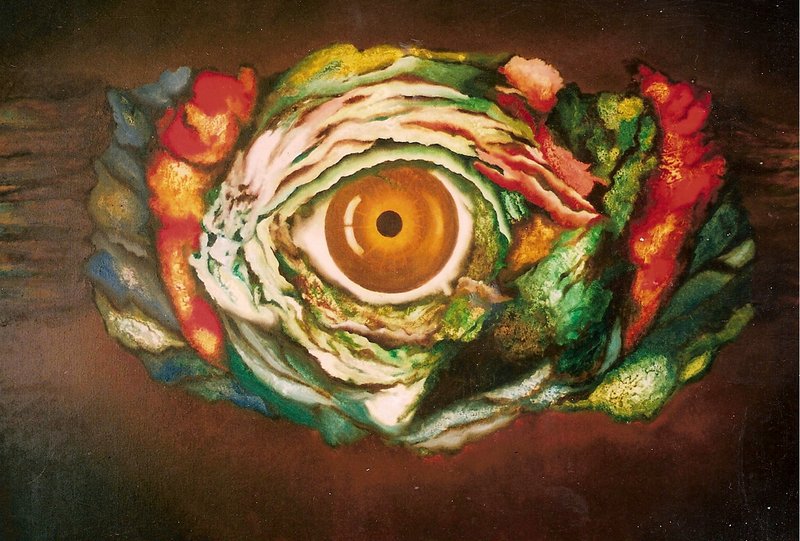 Het oog
