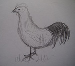 Bij de kinderboerderij heb ik diverse schetsen gemaakt van dieren.