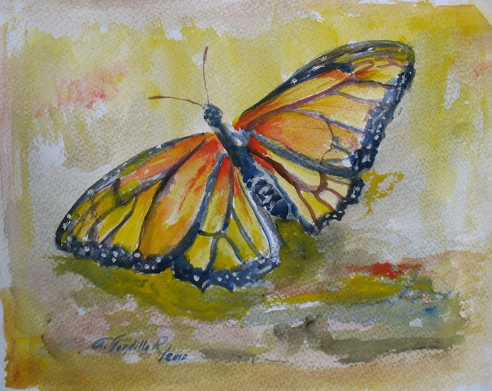 Butterfly1
